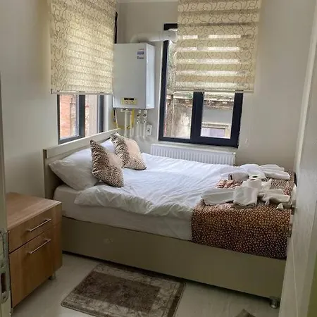 Cosy Flat Has Balcony In Taksim *